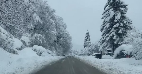 Электрохолд: Причиной проблем с электричеством во Врачанско стал сильный снегопад