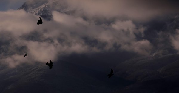 Существует опасность падения предметов, не стойте на открытом воздухе.