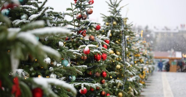 Завтра ветер снова усилится, новогодняя прохлада.