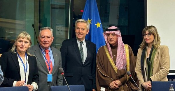 Елена Йончева беседует с министром Саудовской Аравии об альтернативных источниках энергии