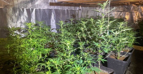 Полиция разгромила новый наркопритон в Варне