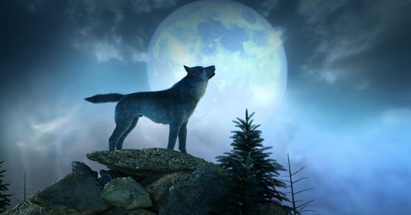 Волчья Луна перевернёт жизнь этих знаков с ног на голову