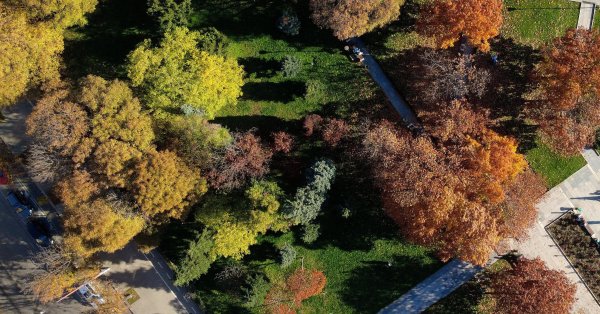 Погода: Утром туманно, днем ​​солнечно.