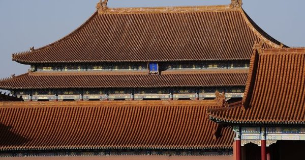 Раскрыто происхождение древесины в Запретном городе