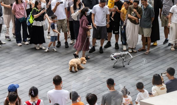 Как Китай «тренирует» собаку-робота