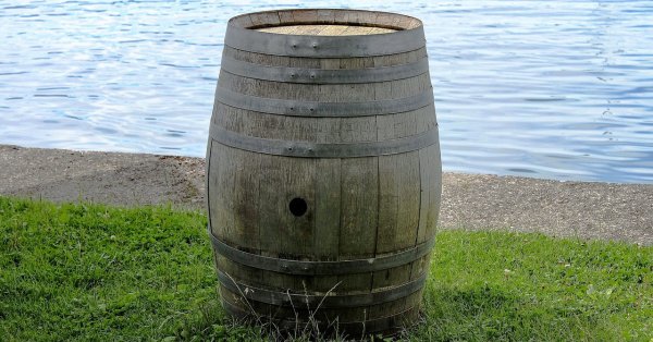 Арендодатель убил арендатора и засунул его в канистру