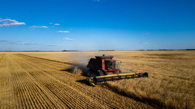 Пшеница движется к самому продолжительному росту с апреля из-за войны и климатических рисков