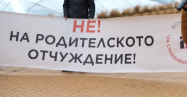 Акция протеста перед парламентом с просьбой о совместном воспитании детей