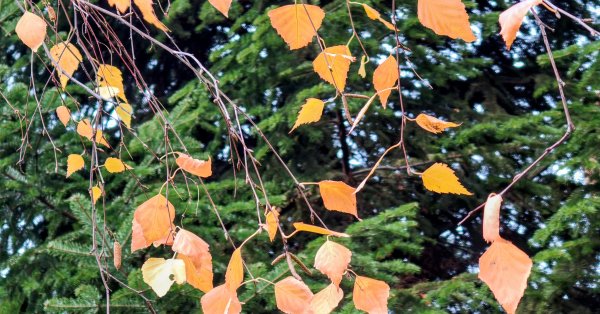 Сегодня будет солнечно, температура до 6°.