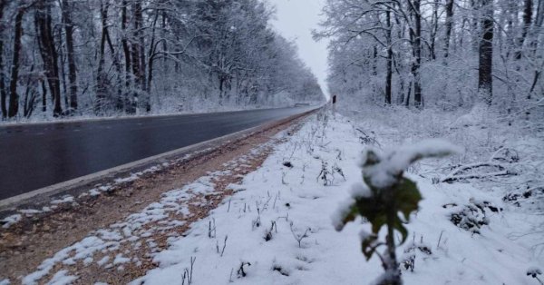 API: отправляйтесь в путь, готовый к зимним условиям