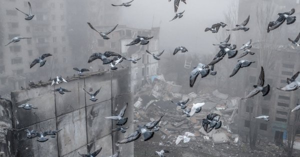 Последний шанс Запада - Новости от Dnes.bg