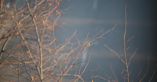 На равнинах и в долинах сегодня будет пасмурно и туманно.