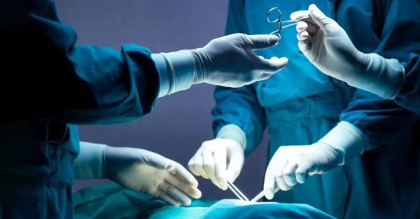 Мужчина умер от бешенства после пересадки почки