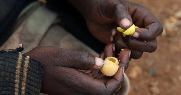 США пообещали ООН выделить миллиарды на гуманитарную помощь, но они также хотят реформ