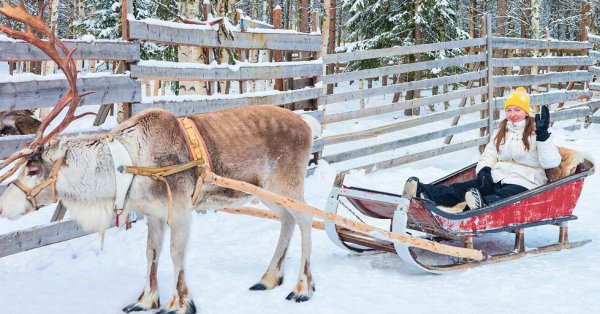 Полиция, береговая охрана и морская пехота искали оленя.