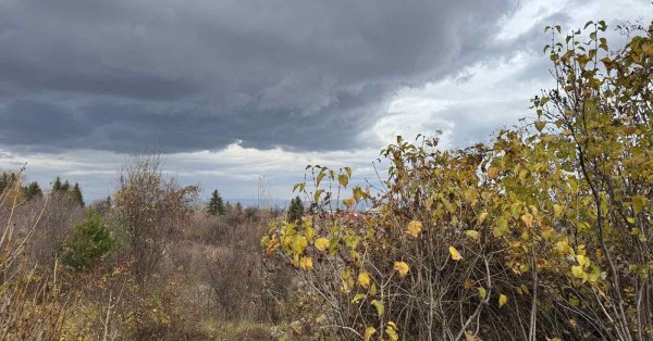 Пожарные отреагировали на 159 вызовов из-за сильного ветра
