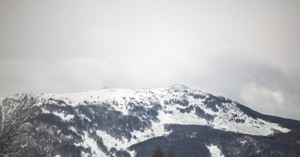 С собаками ищут 22-летнего парня, пропавшего на Витоше