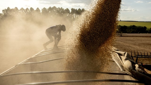 Софийская фондовая биржа сообщает о стабильности цен на мировых рынках