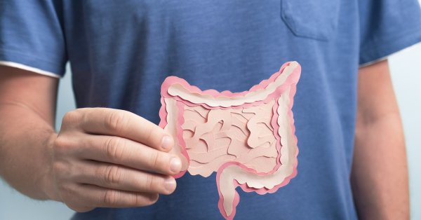 Как здоровье кишечника влияет на настроение и гормоны