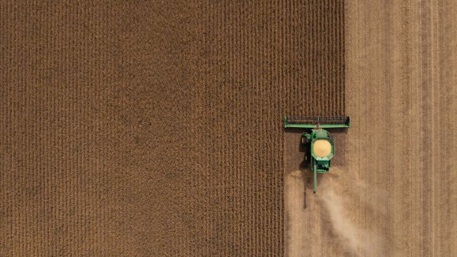 Почему болгарское зерно теряет позиции на ключевых рынках?