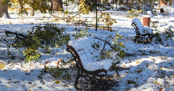 Погода завтра: Холодно, местами пойдет снег