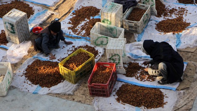 Кадр дня 7 января.