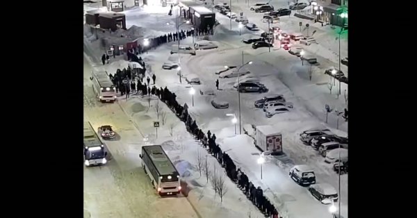 Если бы в России не было очередей... граждане почти час на морозе ждали автобус ВИДЕО