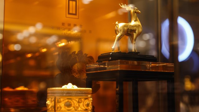 Кадр дня 28 января.