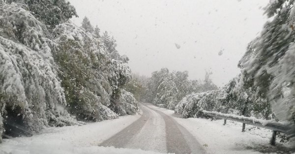 API: На перевалах Превала, Пампорово и Рожен идет снег