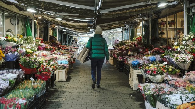 Польша: Мы не спешим переходить на евро, экономика и без него сильна