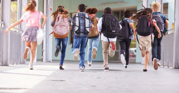 Когда школьные каникулы в 2026 году?