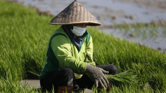 Кадр дня 12 января.