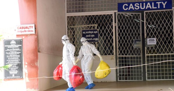 В Индии распространяется смертельный вирус Нипах, передающийся летучими мышами.