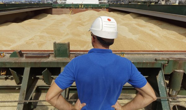 Россия становится все более агрессивной на рынке зерна, поскольку цены продолжают падать