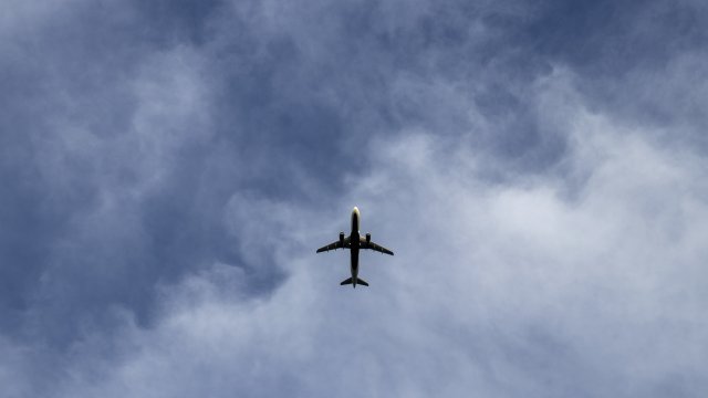 Маск и руководитель Ryanair ссорятся из-за влияния Starlink на полеты