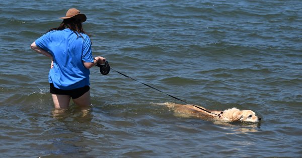 Жара более 45 градусов обрушилась на Австралию