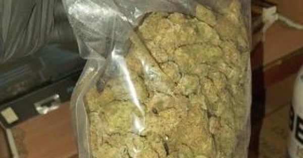 23-летнюю жительницу Бургаса поймали с 4 видами наркотиков