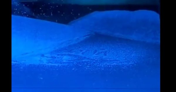 Слово «х*й» появилось на сцене Большого театра в спектакле для солдат ВИДЕО