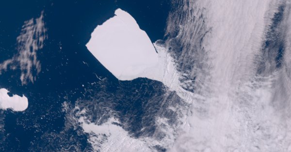 Самый крупный айсберг А23а до недавнего времени находился на грани полного распада.
