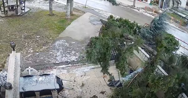 Сильный ветер повалил деревья и нанес ущерб во Враце ВИДЕО