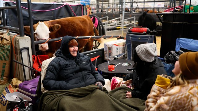 Кадр дня 24 января.