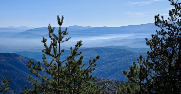 Погода сегодня: солнечно, местами до 10 градусов.