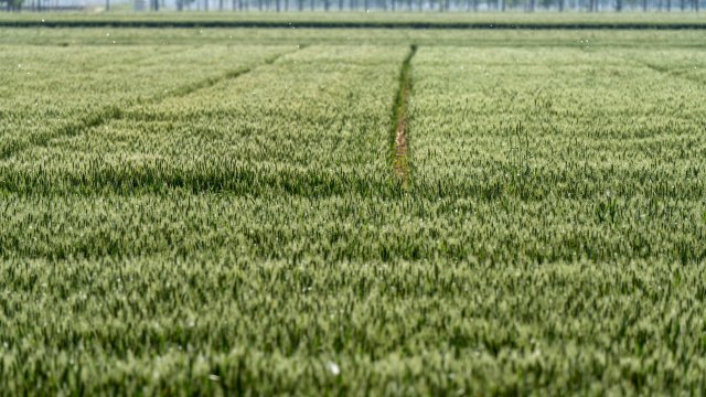 Самая дорогая пашня в ЕС находится на Мальте, а самая дешевая – в Латвии