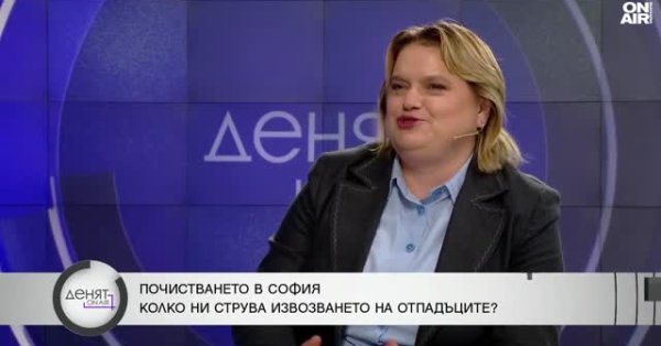 Столичный мусор – споры, дела, близок ли кризису конец?