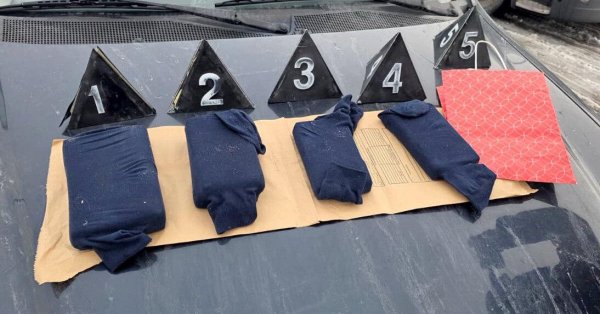 В Сербии болгарина задержали с 1 кг кокаина и 2 кг героина