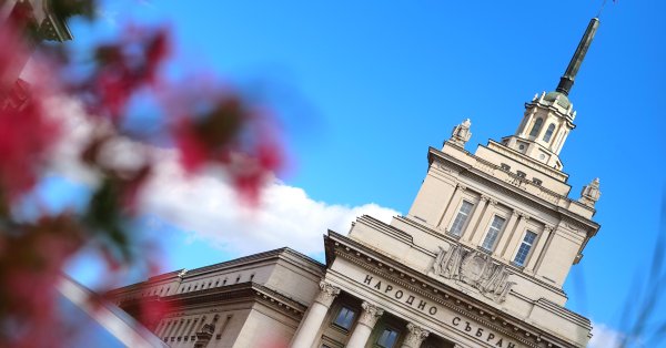 Просто сигнал или правда: Есть ли бордель против «Дома партии»?