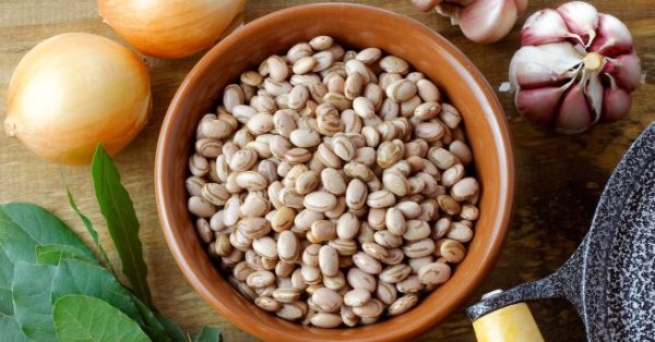 Какие бобовые и семена содержат много белка?