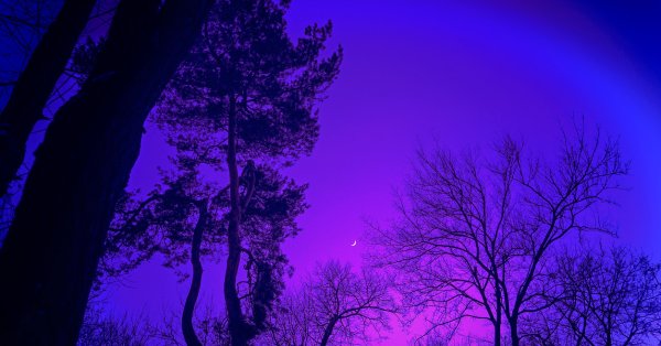 По Зодиаку — основные темы прорывов, которые развернутся в вашей жизни в 2026 году.