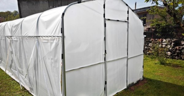 Как теплицы приносят пользу небольшим фермам