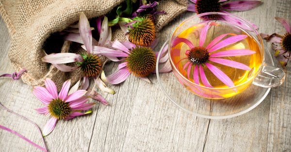 Мощные травы, которые защищают нас от гриппа